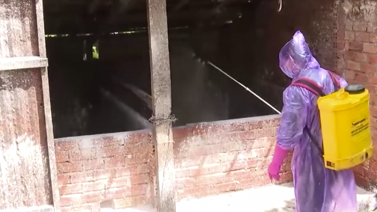 Dak Lak: Pơreăng châi klêa chu châu Phi vêh tâ tú nếo