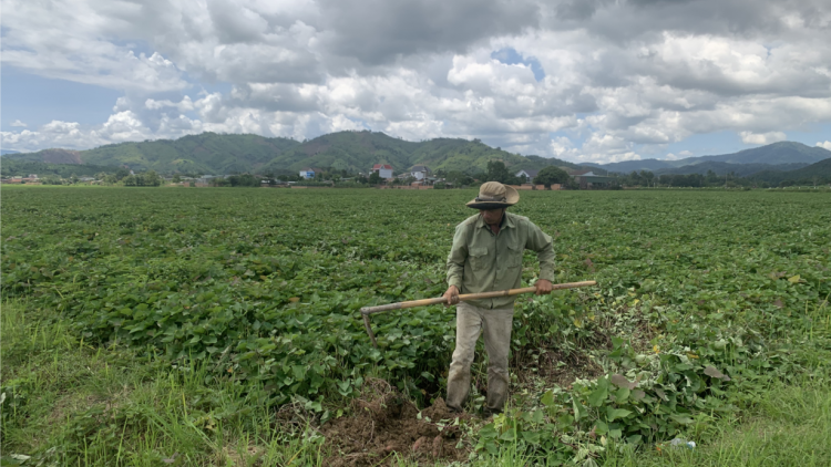 Dak Lak: Pôm ló oh tá ai yă, ôh tá ai ngế rôe
