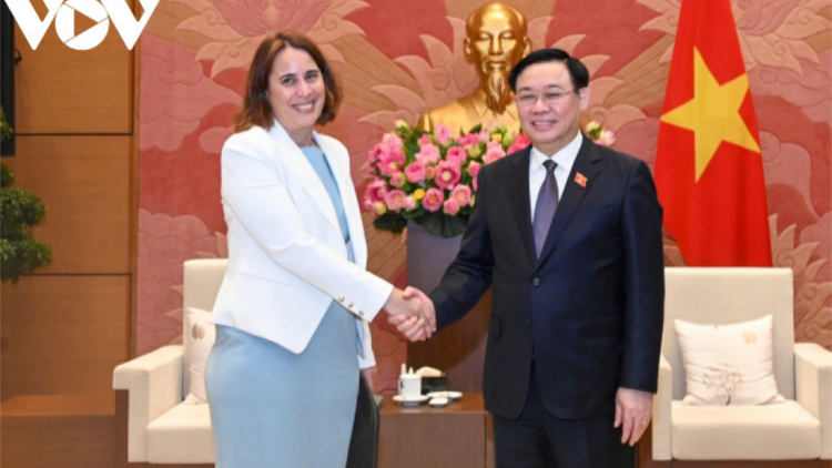 Pôa Vương Đình Huệ, kăn xiâm hnê ngăn Kuô̆k hô̆i tơdah kăn teăng mâ New Zealand