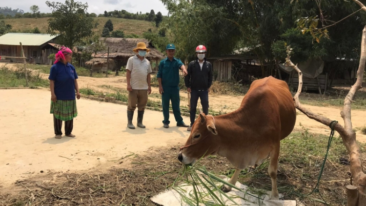 Drêng kăn cheăm pêi ahdrối tơdroăng mơhnhôk thế rôe ro păn kum mâu ngế kơtiê tơkâ luâ xơpá