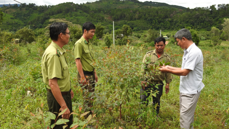 Kon Tum - Luât pơkâ mơhá liăn ăm hnoăng rak ngăn kong kum ăm kuăn pơlê mơnhông tung rêh ối