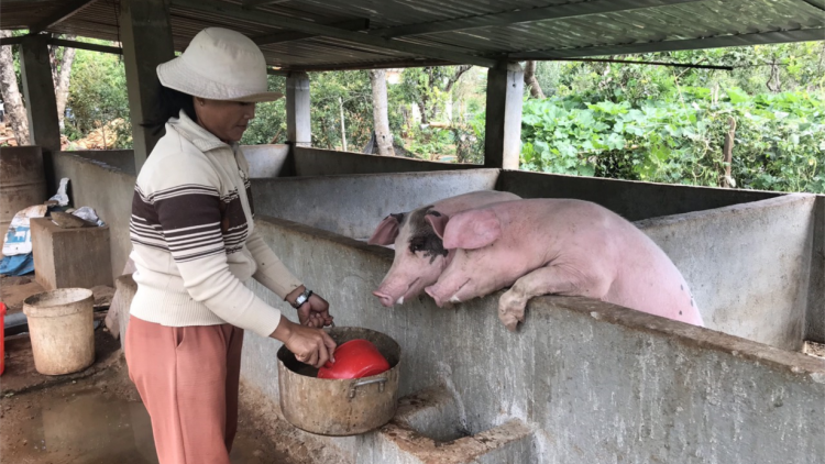 Ngế păn mơnăn thế ki pro ti lâi drêng yă mơdrăn to kơnâ?