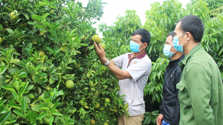 Đăk Đoa (Gia lai) mơnhông pêi chiâk deăng xúa kơmăi kơmok rơxông nếo