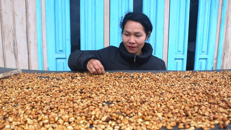 Ngế droh K’ho pơxiâm pêi cheăng châ tơ-[rê [ă inâi kơphế Yũ M’nang