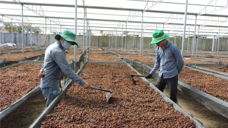 Pơtối rak vế ki tơ-[rê tơdroăng tơru\m pêi chiâk deăng
