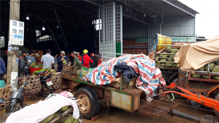 Dak Lak thâ ti tăng tíu tê plâi sâu riêng