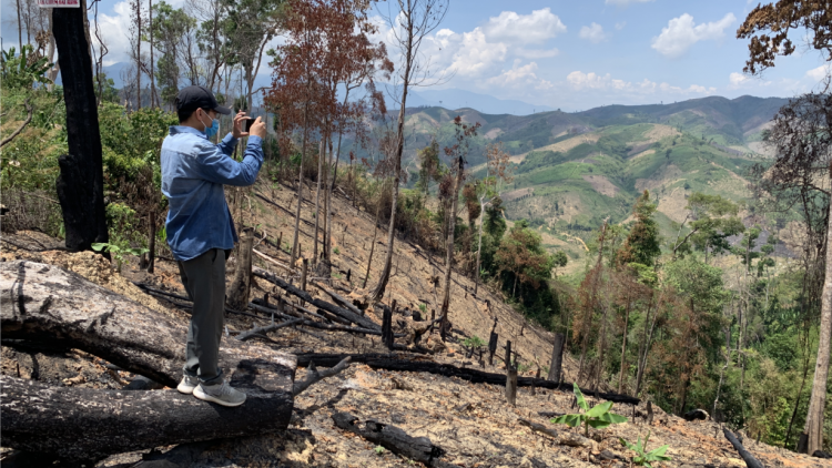 Hía lối 200 ha, tơdroăng ki ko ‘nhiê kong a Dak Lak dế ó