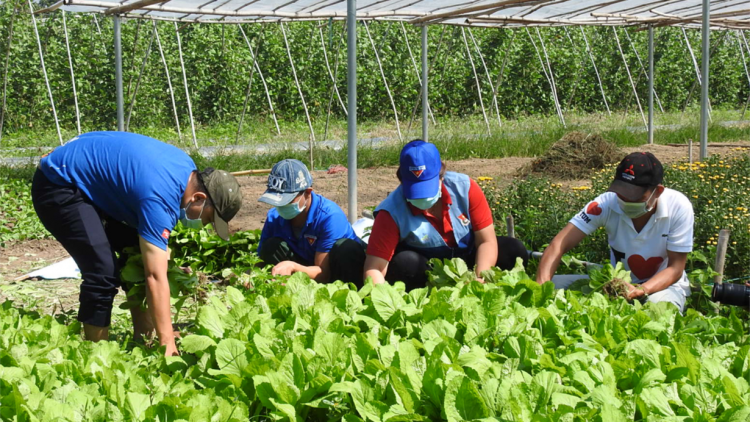 Kon Tum: Kum kơchâi drêh pơtroh kuăn pơlê Pơlê kong kân Hồ Chí Minh hbrâ mơdât COVID 19