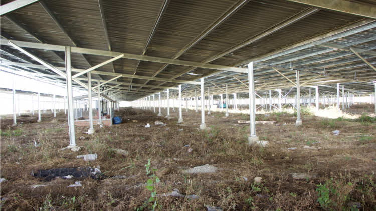 Gia Lai: “Tí tăng pơloi” tơdroăng on tơhrik mâ hâi a kuâ hngêi vâ tê yă kơnâ