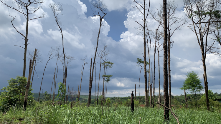 Hiăng hlo ai tơdroăng “kâ ‘nhê kong”