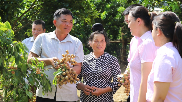 Liăn mung kơjo, ivá ăm mâu kơtiê mơ-eăm tơkâ luâ xơpá