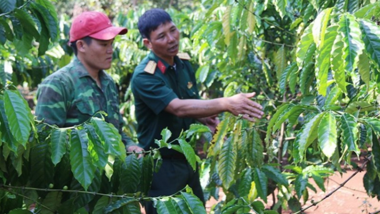 Trung đoân 720: Mâu lêng djâ tơdroăng phâi tơtô ăm kơpong tơkăng kong