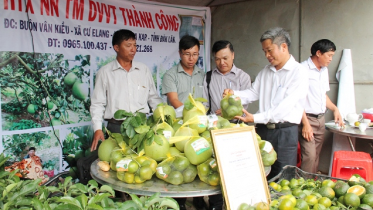 Ea Kar (Dak Lak): Mơdêk pêt hên loăng plâi kâ