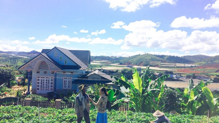 Kuăn pơlê hdroâng kuăn ngo Lâm Đồng: Kơhnâ pêi chiâk deăng xúa kơmăi chal nếo