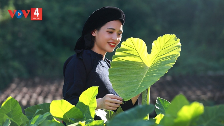 CHƯƠNG TRÌNH KHAY HENG TÀY NÙNG  (Chủ Nhật- Vằn 30/10/2022)