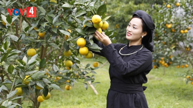 CHƯƠNG TRÌNH KHAY HENG TIỂNG TÀY NÙNG  (Thứ Hai – Vằn xo 07/11/2022)