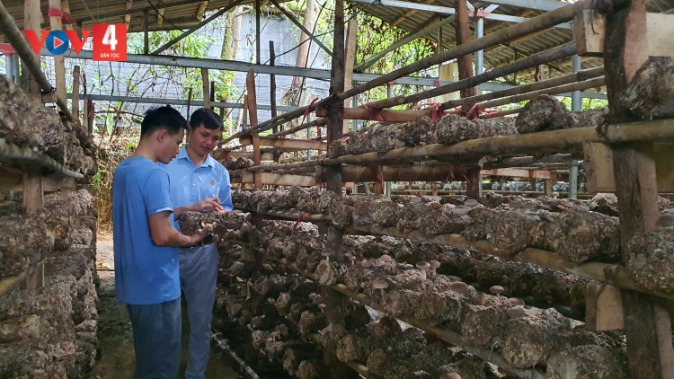 VÌ VĂN BÌNH MÀ BẢN CÓ CỐC HẾT KIN