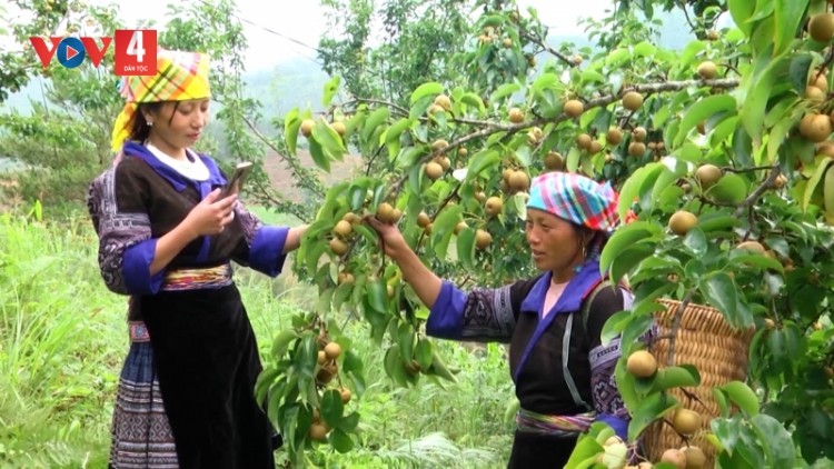 AU CÚA CÁI KHỬN KHAI DÚ TỀNH TÀNG MẠNG PANG HẨƯ PỈ NOỌNG DÚ BÚNG KHAU PHJA SLU MÀ ĐẢY LAI NGẦN CHÈN