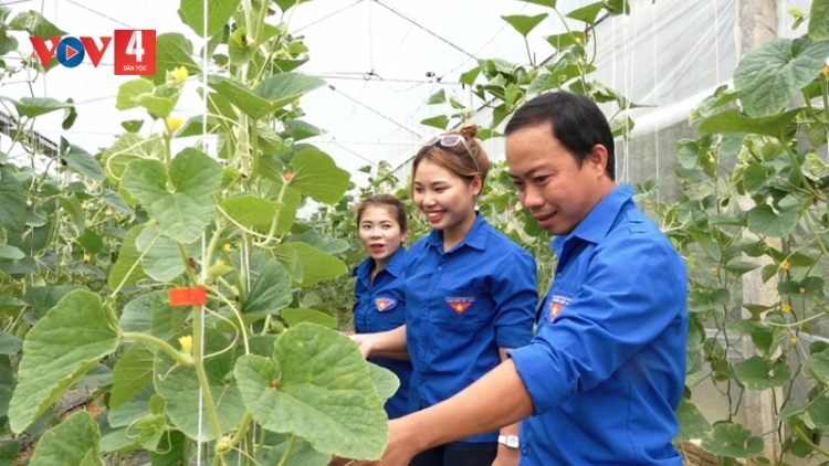   Làm nông nghiệp sạch, chàng trai người Tày lãi nửa tỷ đồng mỗi năm