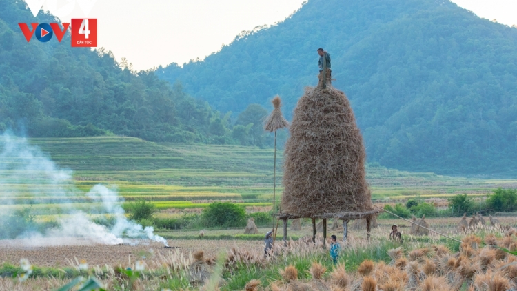 Cằm toẹn: BẤU ĐẢY NGÒI NẨƯ