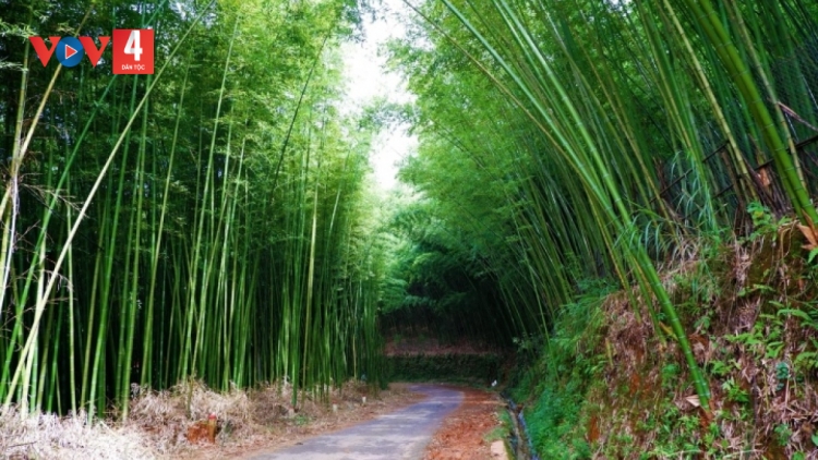 CHƯƠNG TRÌNH KHAY HENG TIỂNG TÀY NÙNG  (Thứ Hai – Vằn 19/12/2022)