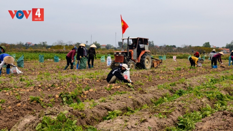 SLẢNH QUẢNG NINH TẢ KHỎ ĐẢY KHOÁI TẢI ẾT CHANG TẰNG NẶM MƯỜNG