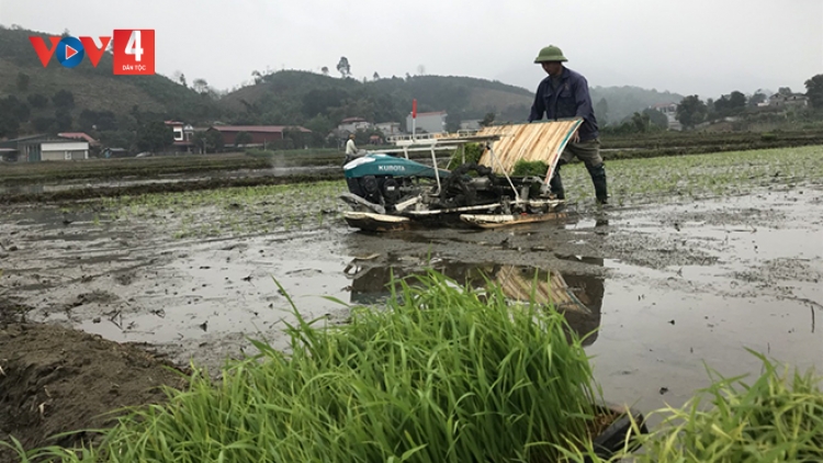 PỈ NOỌNG DÚ YÊN BÁI LỒNG TỔNG ĐĂM CHAY LĂNG NÈN