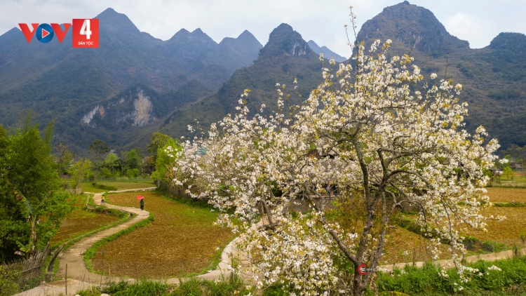 CHƯƠNG TRÌNH KHAY HENG TÀY NÙNG  (Thứ Tư- Vằn 22-03-2023)