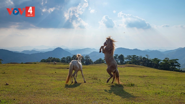 CHƯƠNG TRÌNH KHAY HENG TÀY-NÙNG  (Thứ Bảy, Vằn xo 8 bươn 4 pi 2023)