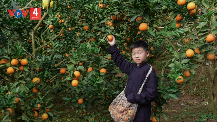 CHƯƠNG TRÌNH KHAY HENG TÀY NÙNG  (Thứ Hai- Vằn 03/4/2023)
