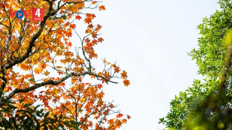 CHƯƠNG TRÌNH KHAY HENG TÀY NÙNG (Thứ 4, vằn 19/4/2023)