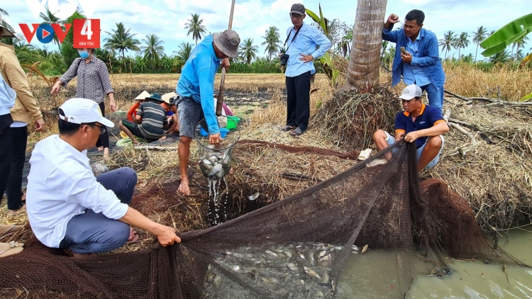 TẲNG LƯỜN VẠ PANG HƯA XA TÀNG HẾT KIN HẨƯ LẨN PÁC PỈ NOỌNG TỨC PẮT PJA CỦNG NHẰNG KHỎ