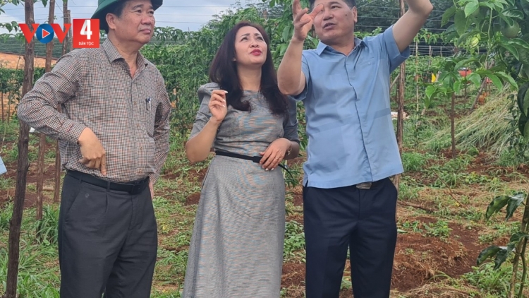 SLẢNH GIA LAI CÓ PỀN TÀNG HẾT KIN HÂNG RÌ TỨ  CHAY MÁC CHENG THAU