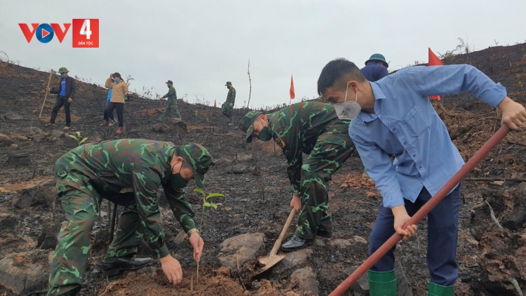 ĐÔNG MẠY CẢI KHĂM KHEO HÂNG RỲ