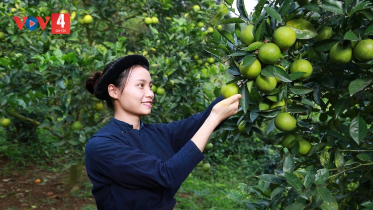 BÀI THEN: CHAY MẰN MẠY