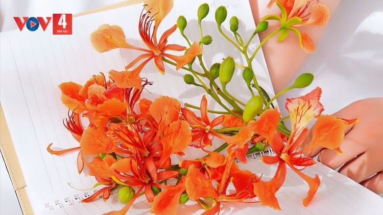 CHƯƠNG TRÌNH KHAY HENG TÀY NÙNG  (Chủ Nhật – Vằn 21/05/2023)