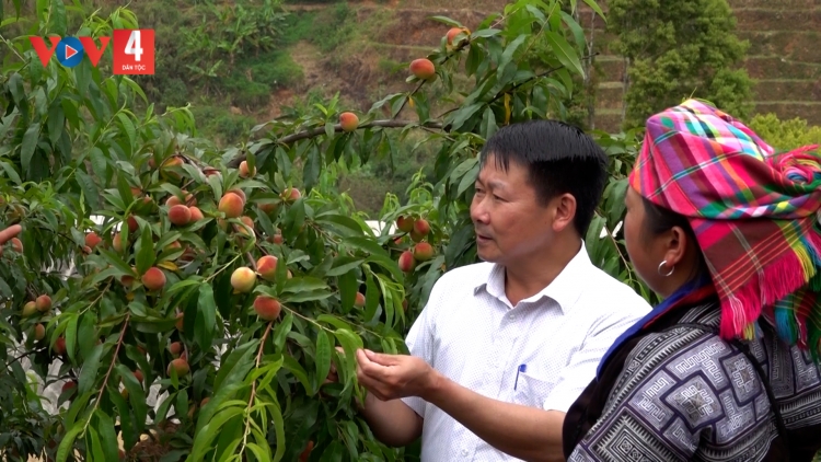 ĐĂM CHAY, KHUN LIỆNG HẠP XÁU TỐI PIẾN CHIẾT HÍ  DÚ SLẢNH YÊN BÁI
