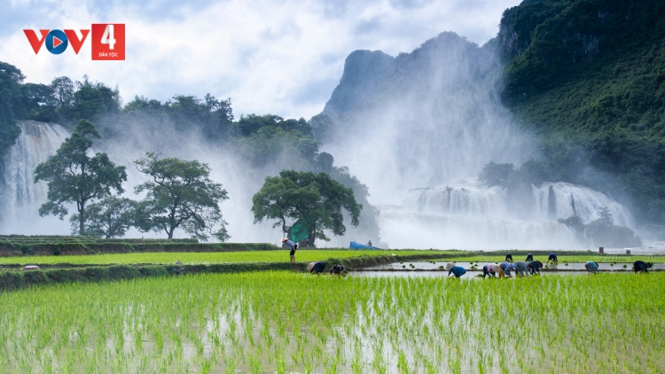 TIẾNG SÁO CỦA ANH THƯƠNG BINH