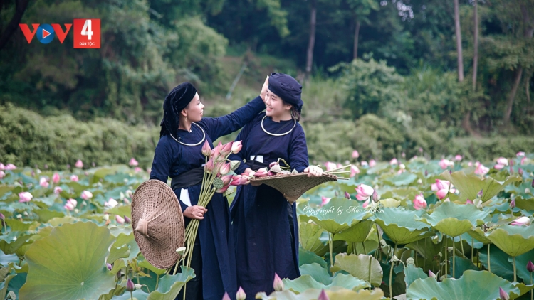 ĐÔNG MÈNG, ĐÔNG NGOẢNG (Rừng ve sầu)