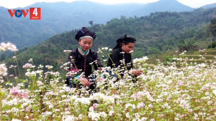 CHƯƠNG TRÌNH KHAY HENG TÀY - NÙNG  (Thứ Ba– Vằn 11/07/2023)