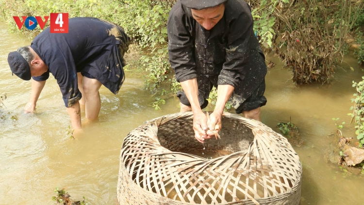 PẰNG DẠU TỈNH ĐÀI XÁU CHƯƠNG TRÌNH (Chủ Nhật ngày 16/07/2023)