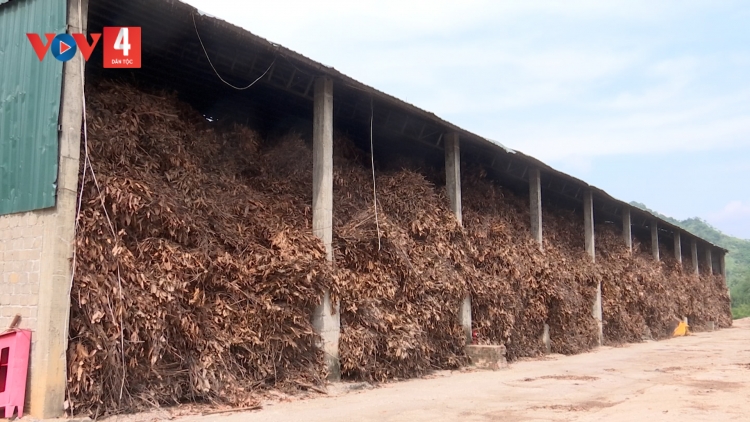 DẦU QUỂ KHAI KHỎ HÊT HẨƯ LAI LƯỜN CHỈNH PIẾN CHẬP LAI MÒN CÀ CẠNG