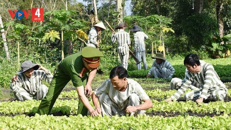 CẦN NGÁM PÂY TÙ MÀ ĐẢY DIM CHÈN LAI NHẤT LẺ 100 TRIỆU MƯN SLE CÓ CỐC HẾT KIN