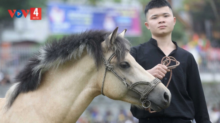 GỌI ANH