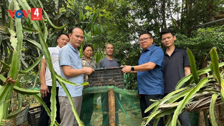 YÊN BÁI PANG CHỎI PỈ NOỌNG XA TÀNG HẾT KIN TẢ KHỎ