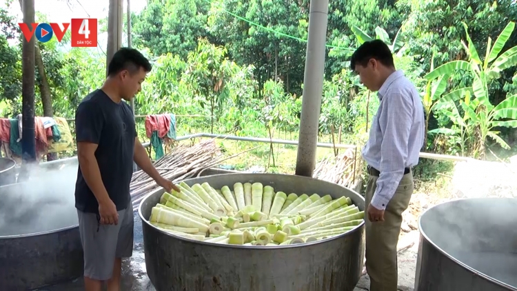 MẢY BÁT ĐỘ DÚ YÊN BÁI PỀN LAI, ĐẢY CHÁ