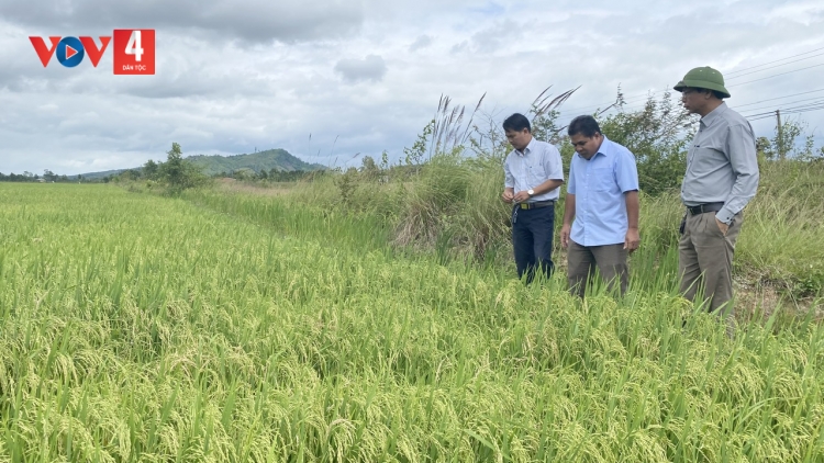  PỈ NOỌNG DÚ EA KAR, ĐẮK LẮK ÍM ĐO PJOM TỔNG NÀ 123