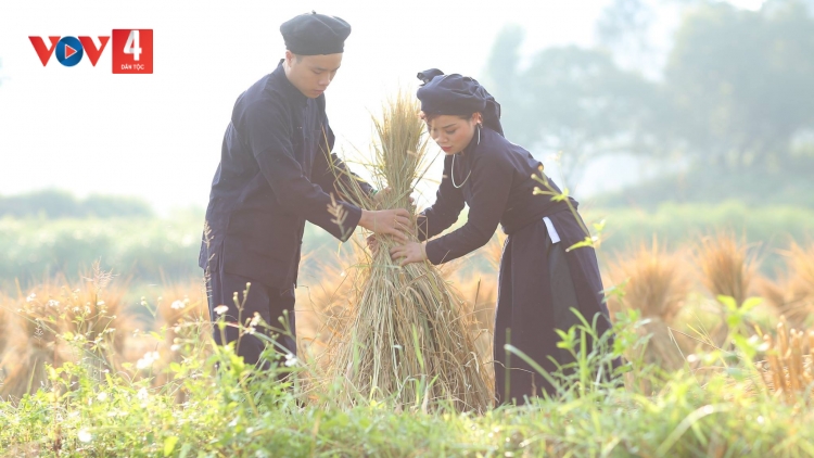 QUÊ EM VÀO MÙA GẶT MỚI