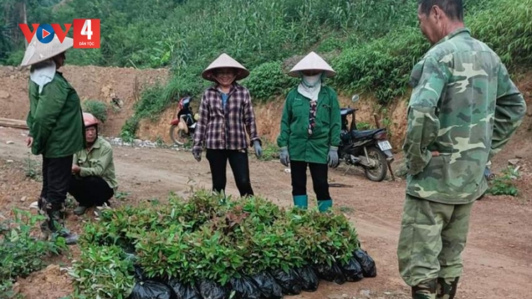 SLẢNH BẮC KẠN ẤN CÓN MẺN PJÁ TẺO TRUNG ƯƠNG KỈ PÁC TỈ MƯN CHÈN PỔN CÚA TẰNG NẶM MƯỜNG