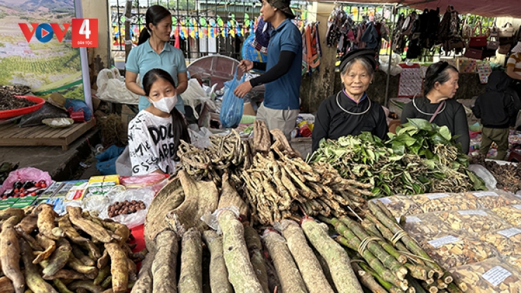 Nghề thuốc nam gia truyền của người Tày